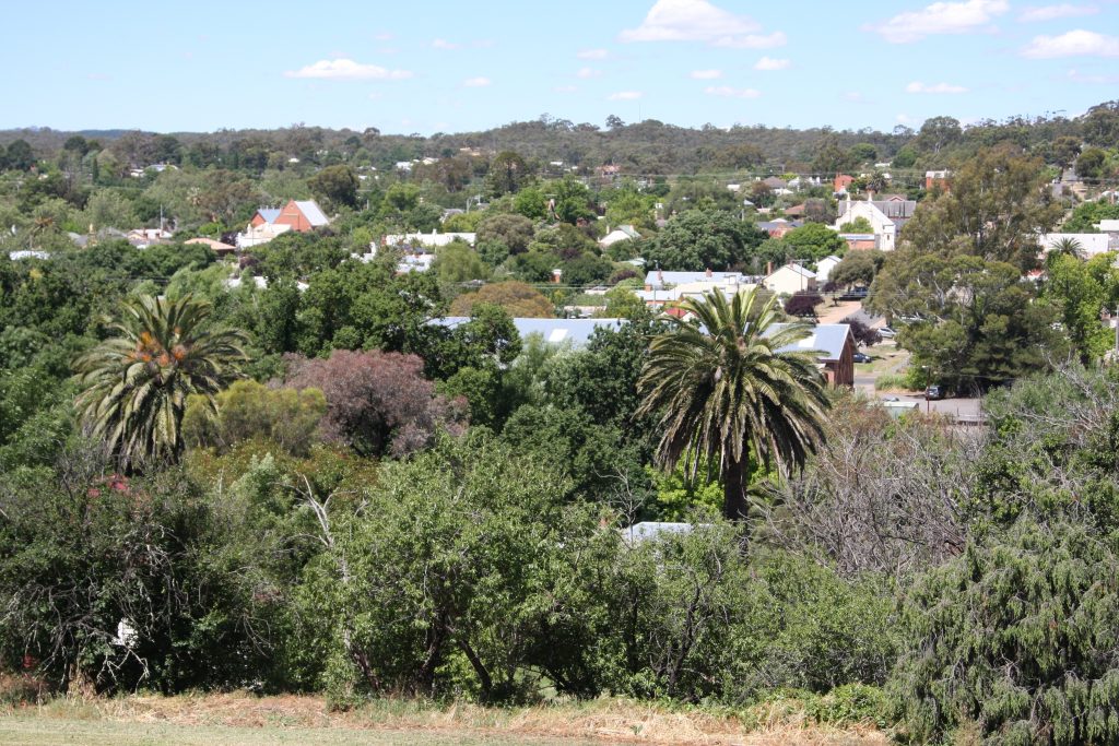 city of Castlemaine, Australia from above on a hill