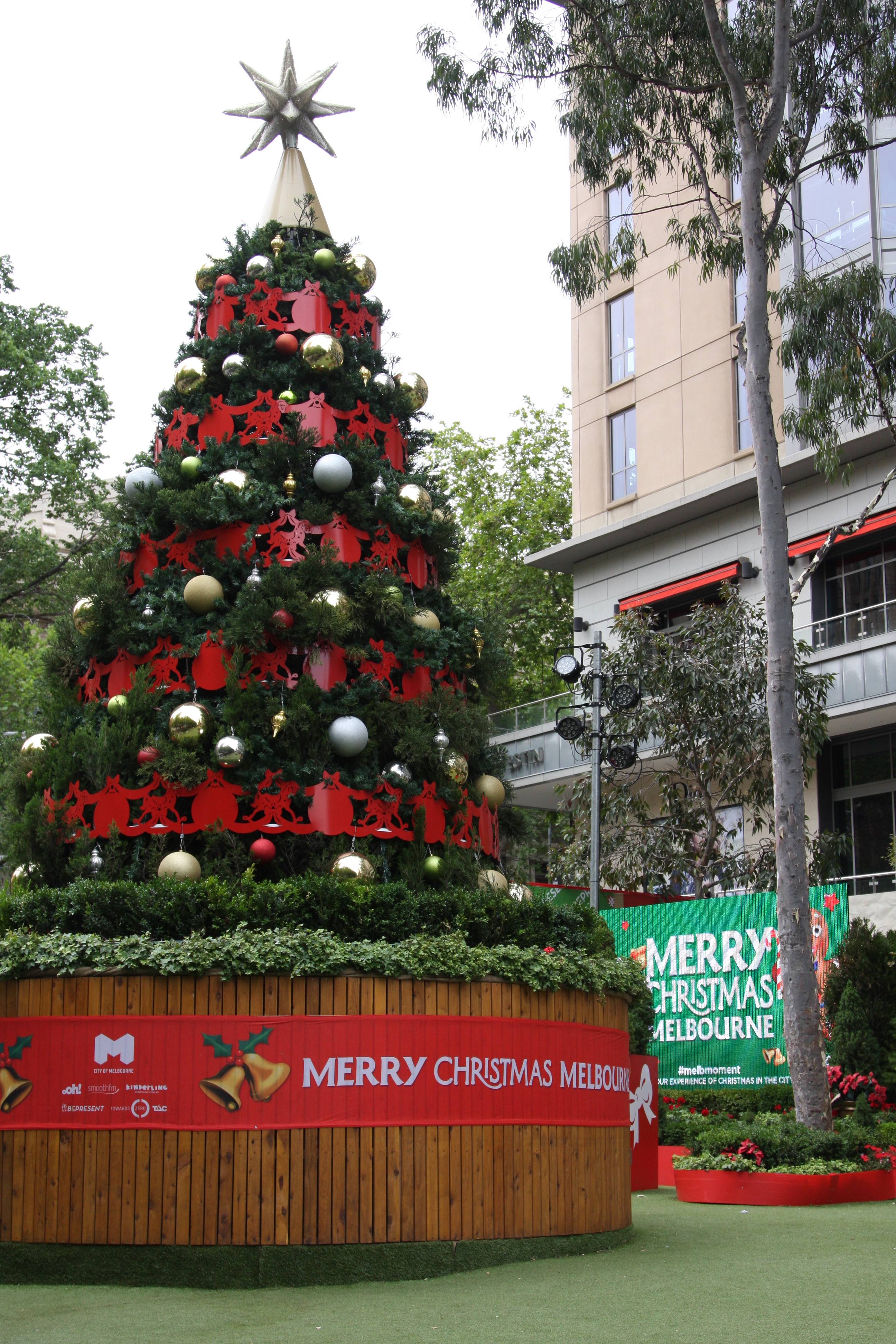 Christmas Tree in Melbourne