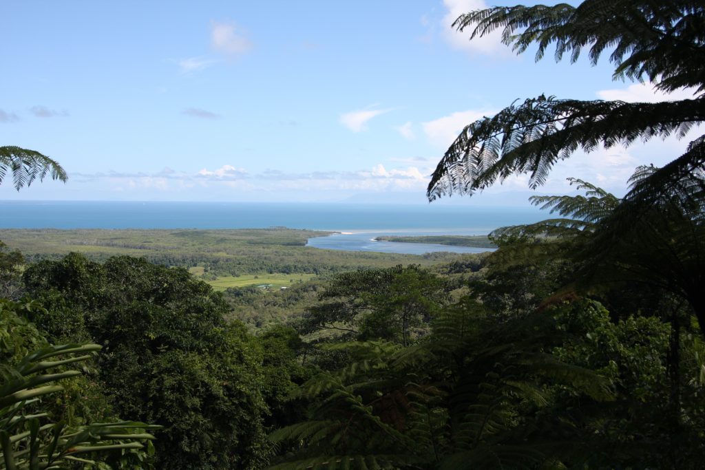 Ocean view from the Daintree Rainforest