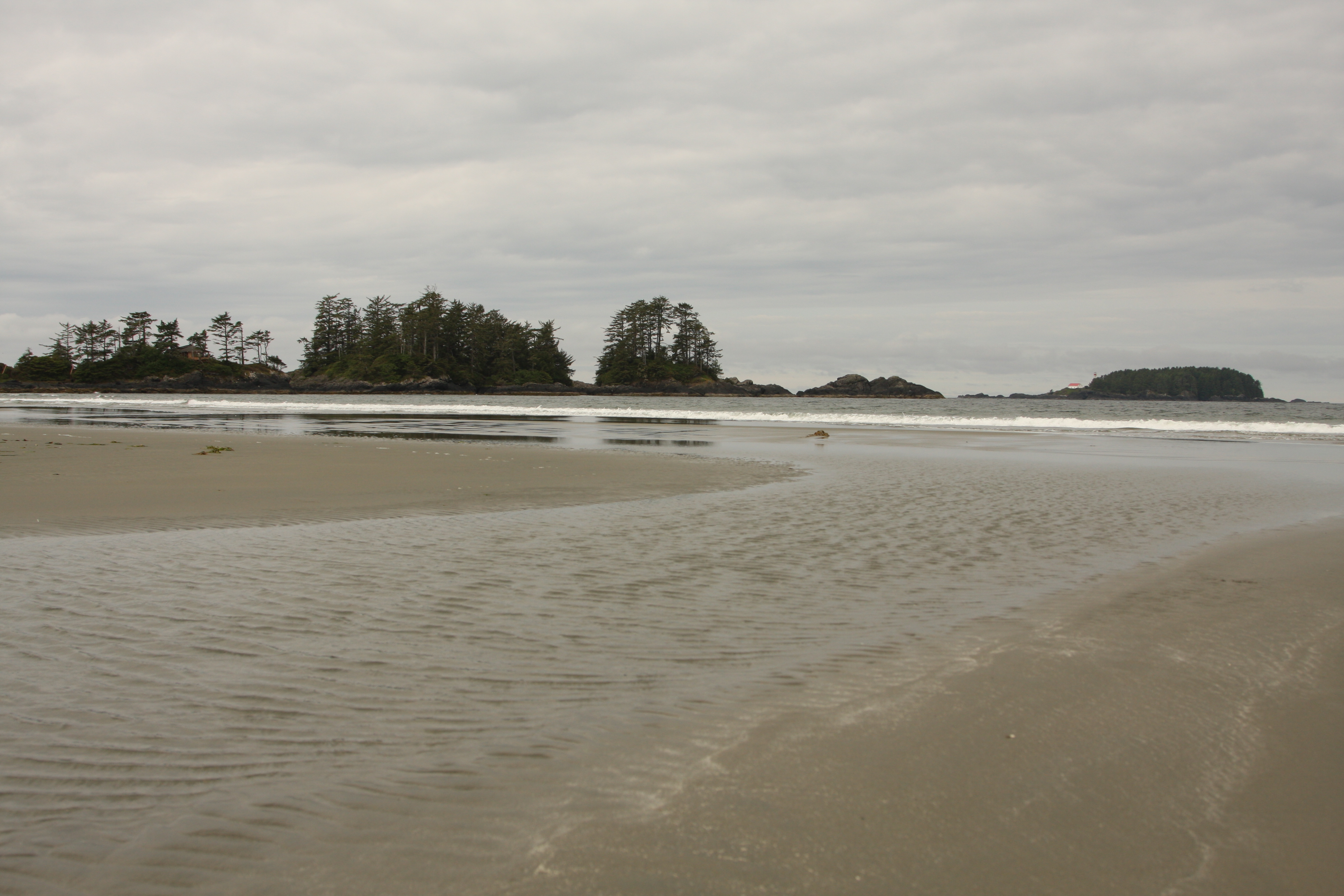 view of the Beach and the Ocean in Tofino