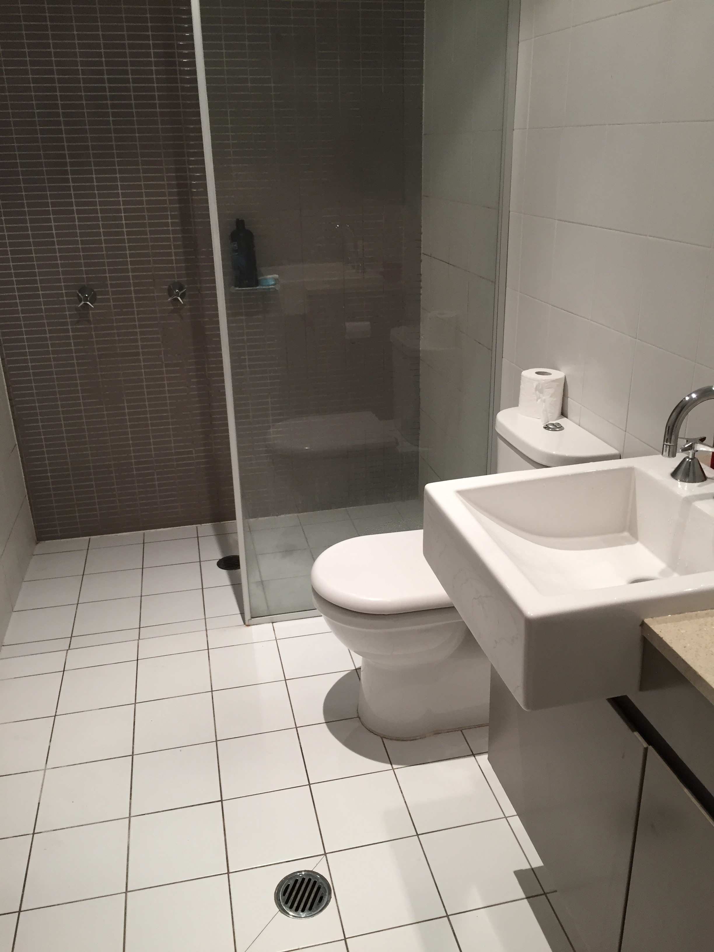 walk-in shower, toilet and sink that make up the ensuite in an Airbnb rental in Sydney