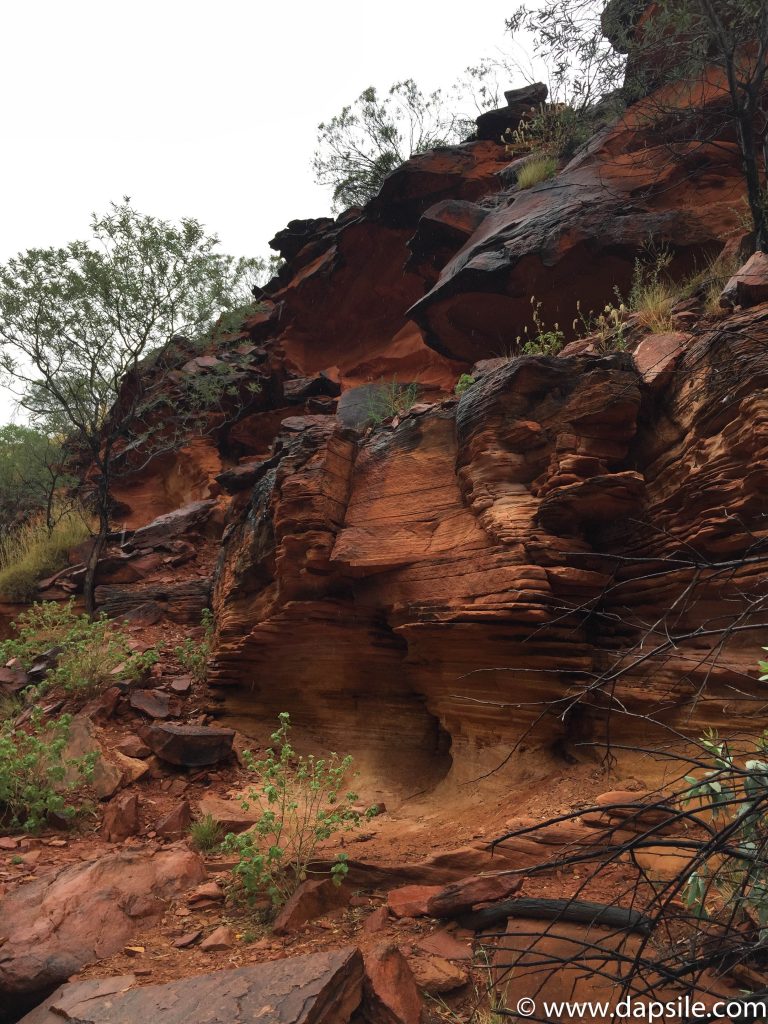Layers of Rock in Kings Canyon on tour from Alice Springs to Uluru