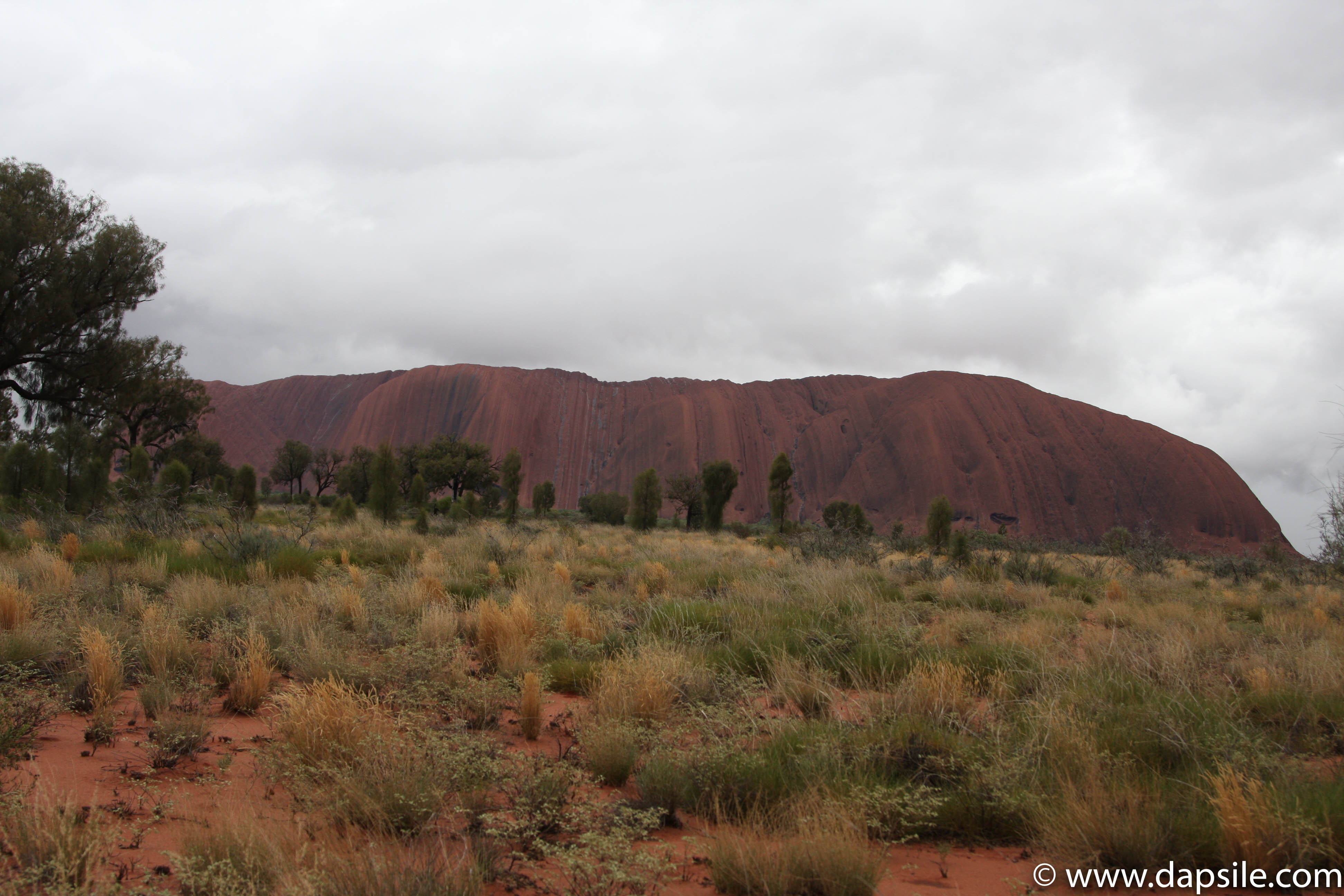 The Tour from Alice Springs to Uluru and Kings Canyon