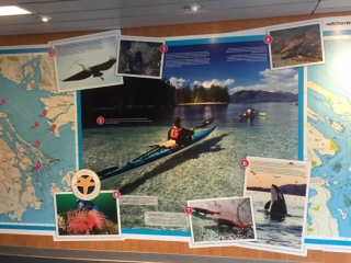 Map on display of the local area and wildlife when travelling from Vancouver to Victoria by Ferry