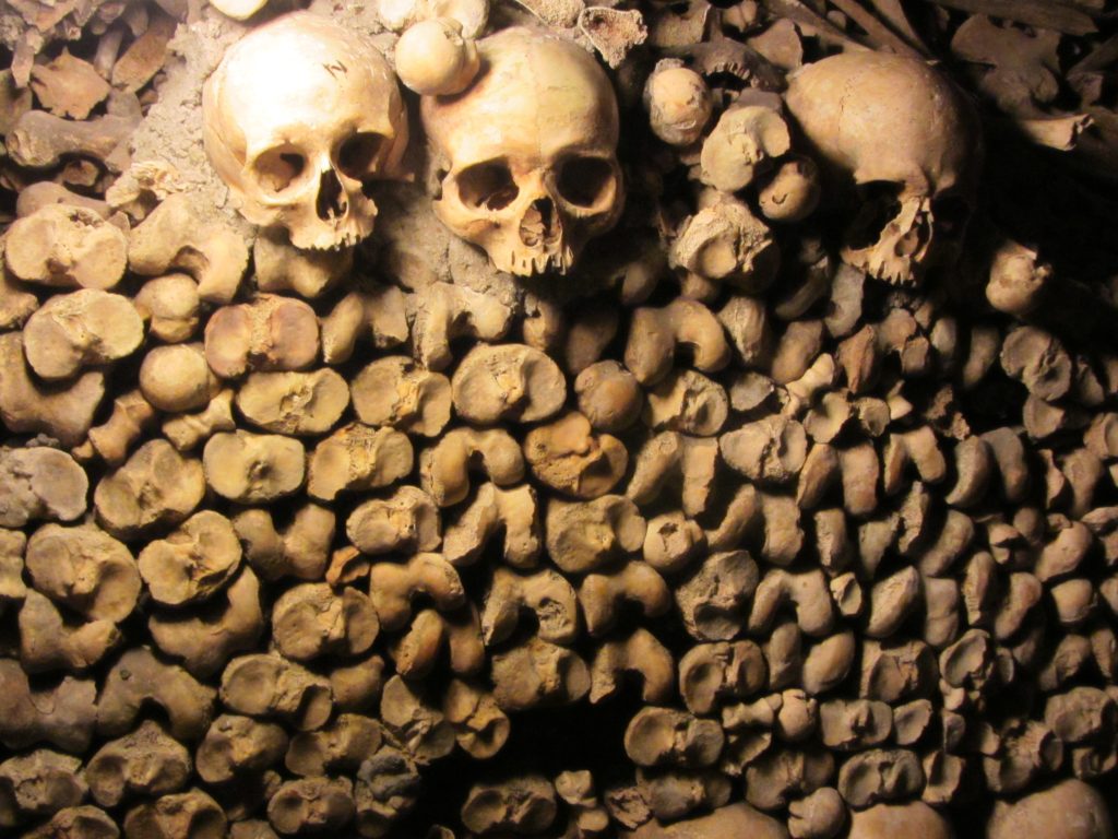 Skulls and Bones in the Catacombs in Paris