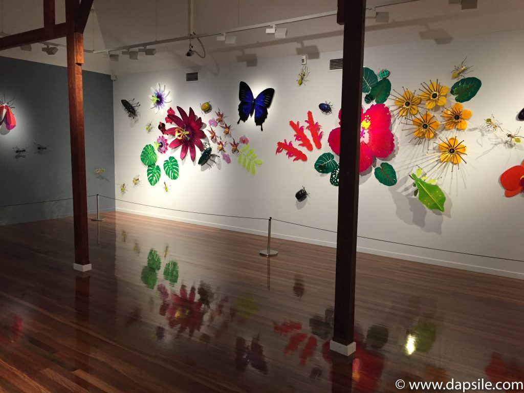 Cairns and the Surrounding Area Art Gallery Display