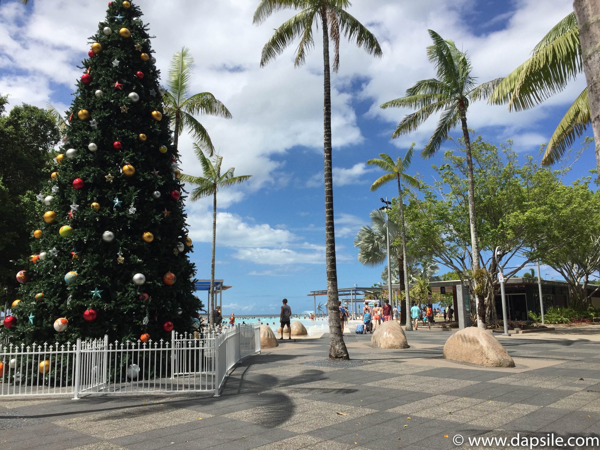 Cairns and the Surrounding Area Christmas Tree and Esplanade