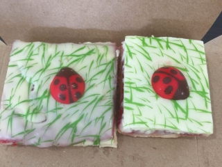 Panidor Ladybug Bites Panidor Cookie Challenge Ladybug Bites Cookie