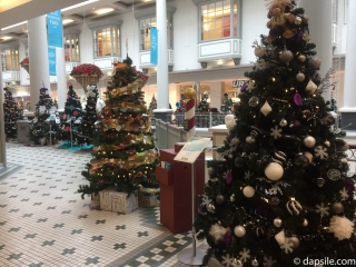 Things to do in Victoria Christmas Tree Festival Trees including Teddy Bear Tree