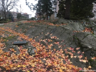 Glacial Grooves and Striations Things to do in Victoria