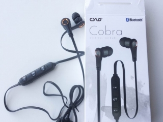 Cobra Bluetooth Headphones from the FabFitFun Fall 2018 Subscription Box