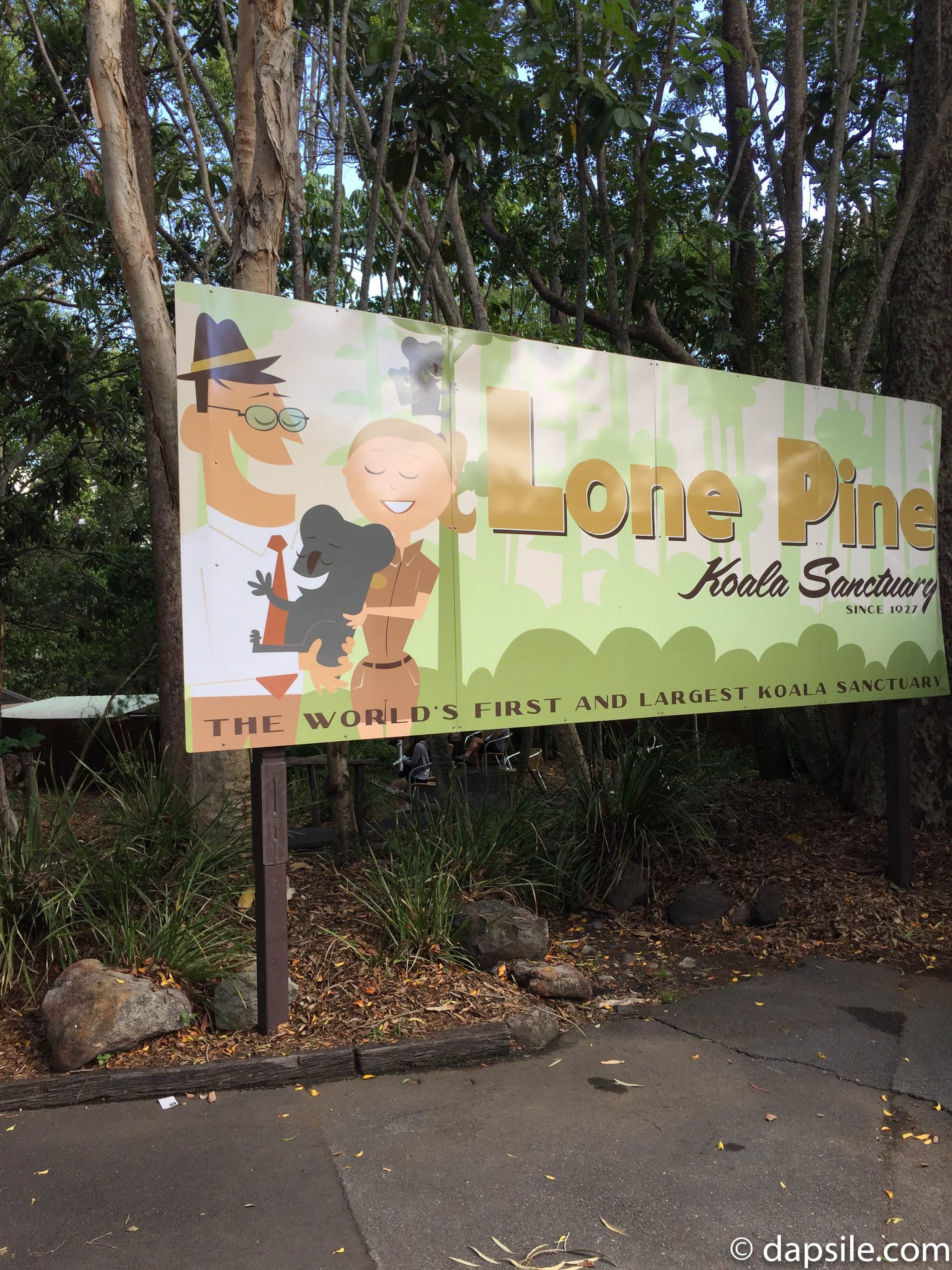 Lone Pine Koala Sanctuary Cartoon Sign