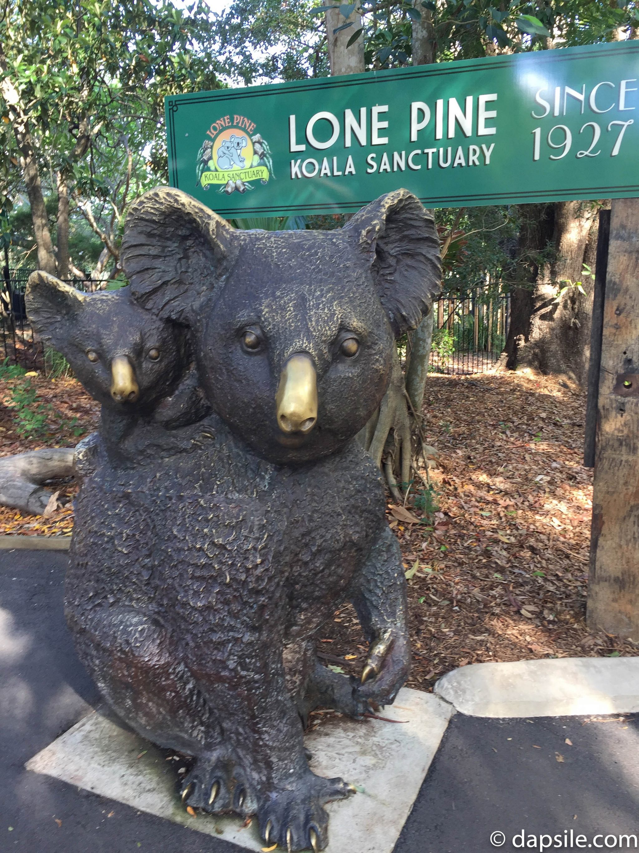 Lone Pine Koala Sanctuary Sign and Koala Statues