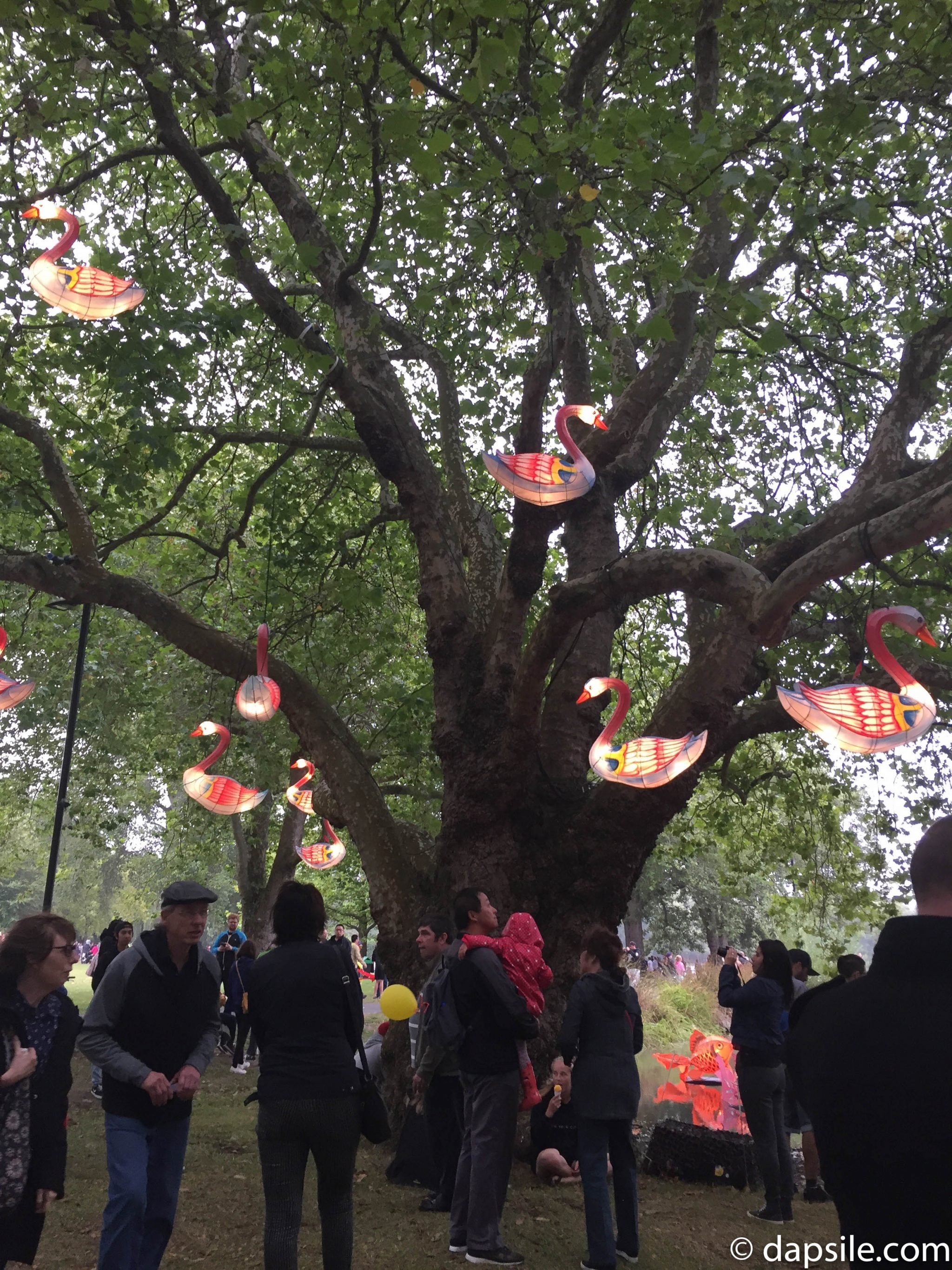 Swan Lanterns in a Tree at Christchurch Lantern Festival