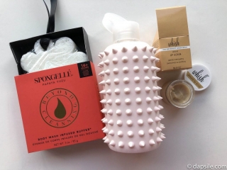 Add-Ons Add-Ons bought for the FabFitFun Summer 2019 box. Spongelle body buffer, bkr glass water bottle and Whish lip scrub