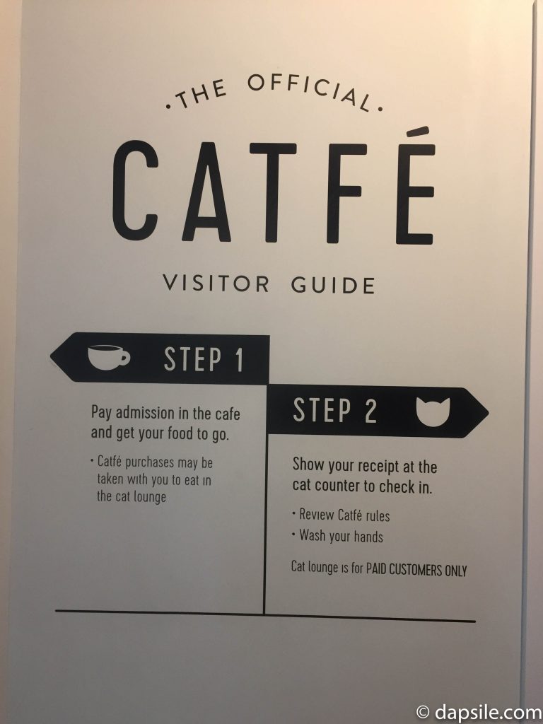 Catfe Visitor Guide posted on the wall