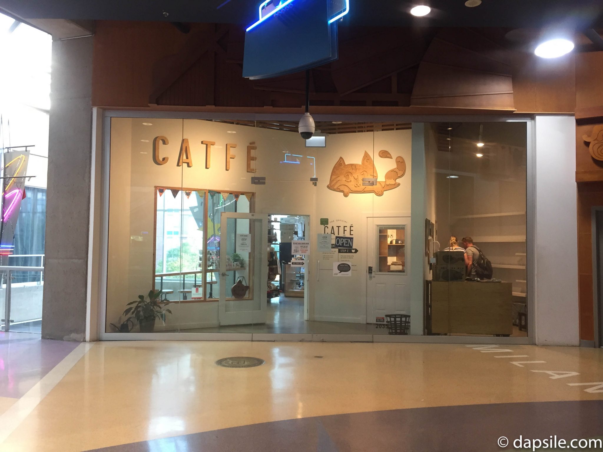 Catfe Cat Cafe in Vancouver, A Great Way to Spend an Hour dapsile