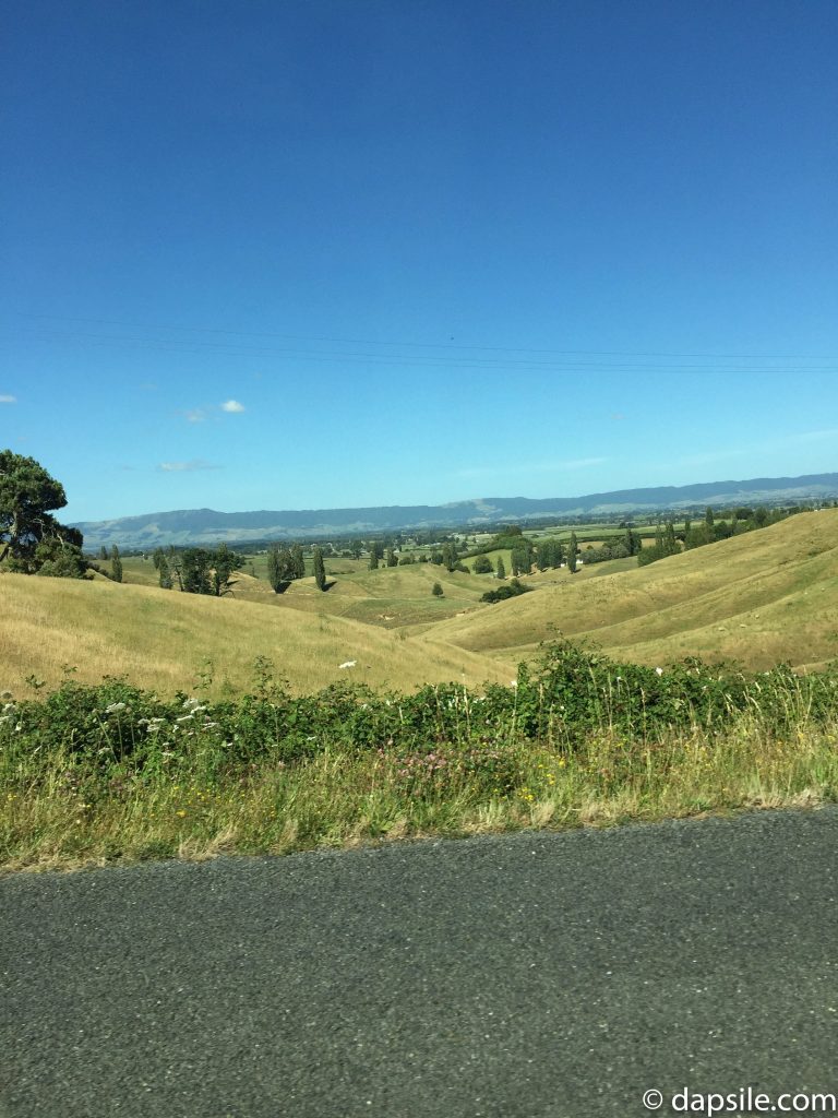 Rolling Hills near Hobbiton