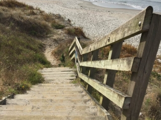 Stairs to a Beach on Waiheke Island Stairs to a Beach on Waiheke Island
